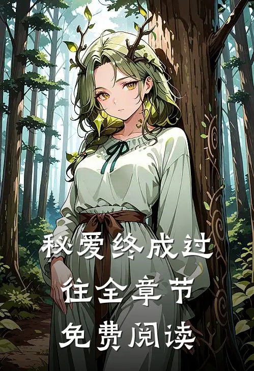 秘爱终成过往全章节免费阅读