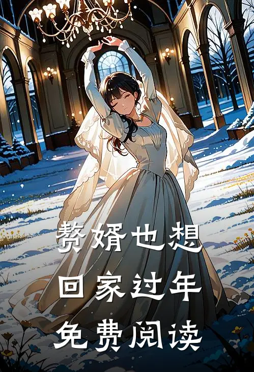赘婿也想回家过年免费阅读