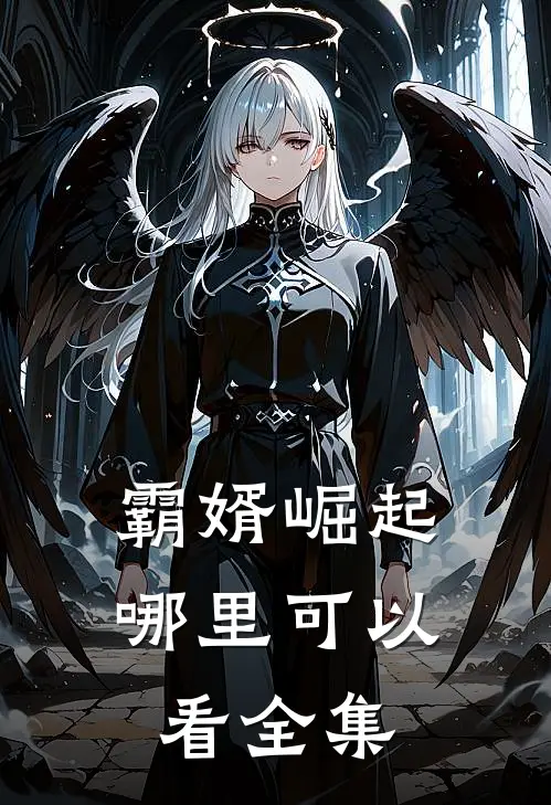 霸婿崛起哪里可以看全集