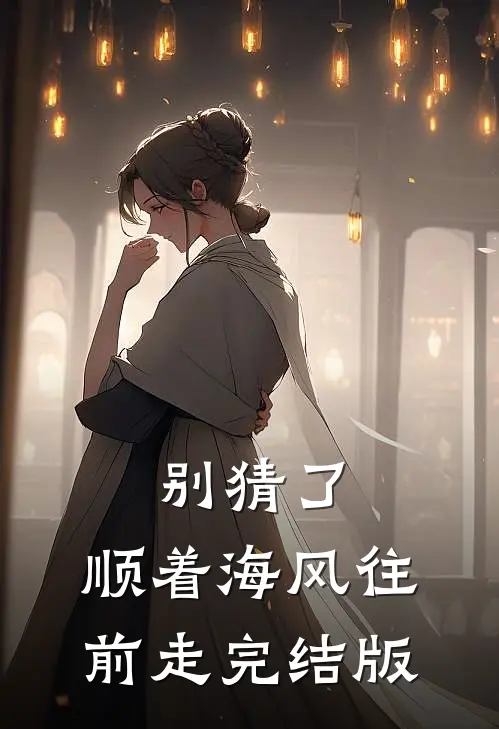 别猜了，顺着海风往前走完结版