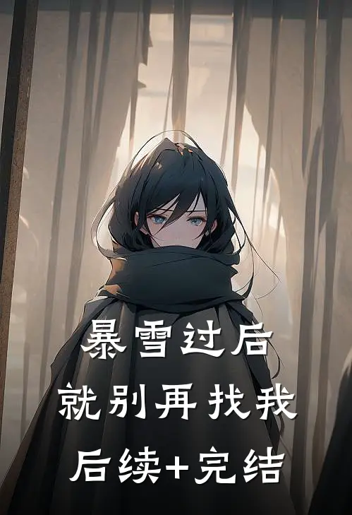 暴雪过后，就别再找我后续+完结
