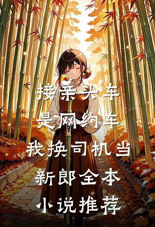接亲头车是网约车，我换司机当新郎全本小说推荐