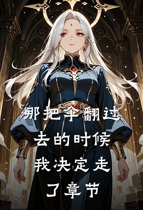 那把伞翻过去的时候，我决定走了章节
