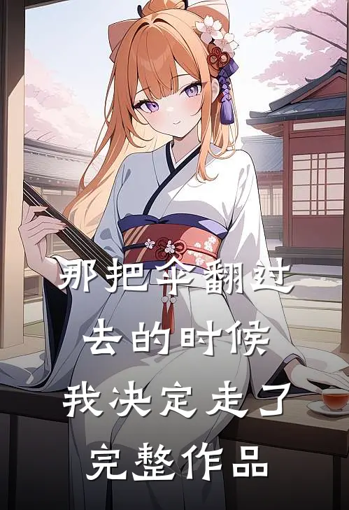 那把伞翻过去的时候，我决定走了完整作品