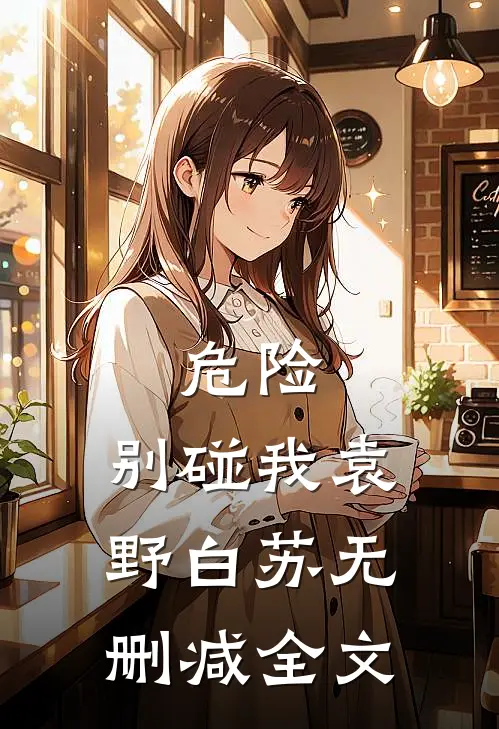 危险，别碰我袁野白苏无删减全文