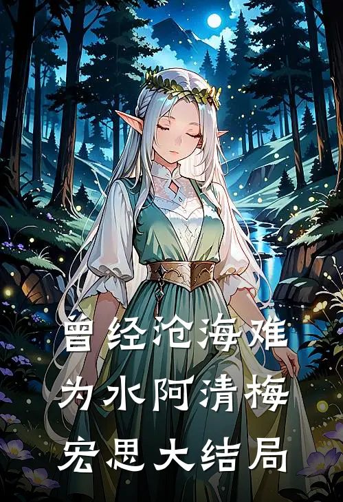曾经沧海难为水阿清梅宏思大结局