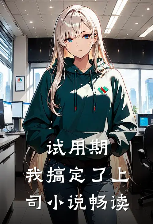 试用期，我搞定了上司小说畅读