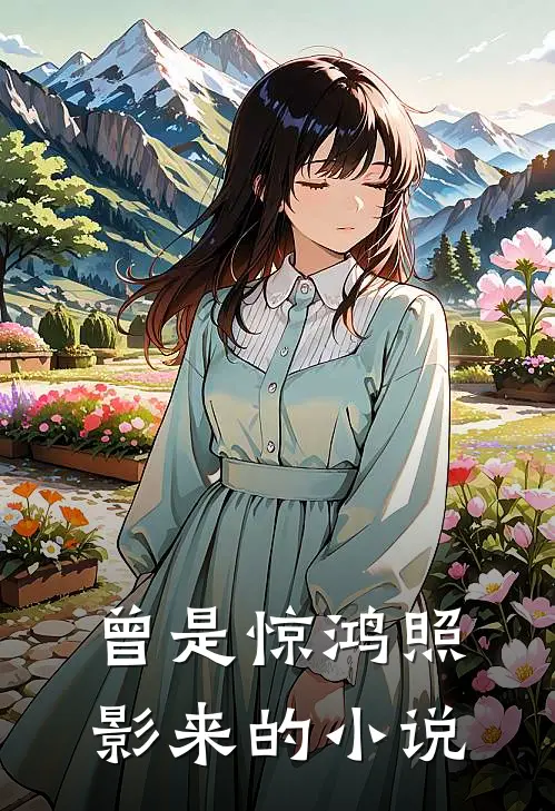 曾是惊鸿照影来的小说
