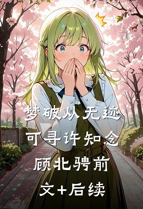 梦破从无迹可寻许知念顾北骋前文+后续