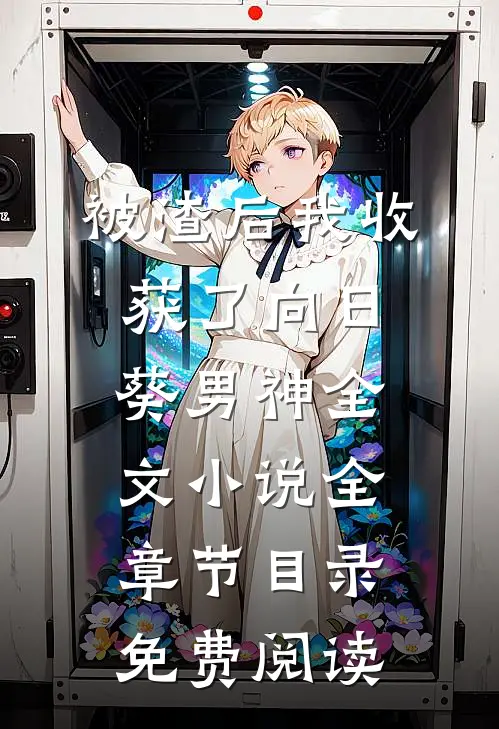 被渣后我收获了向日葵男神全文小说全章节目录免费阅读
