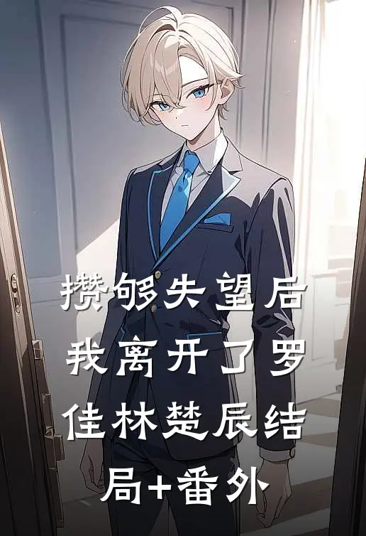攒够失望后，我离开了罗佳林楚辰结局+番外
