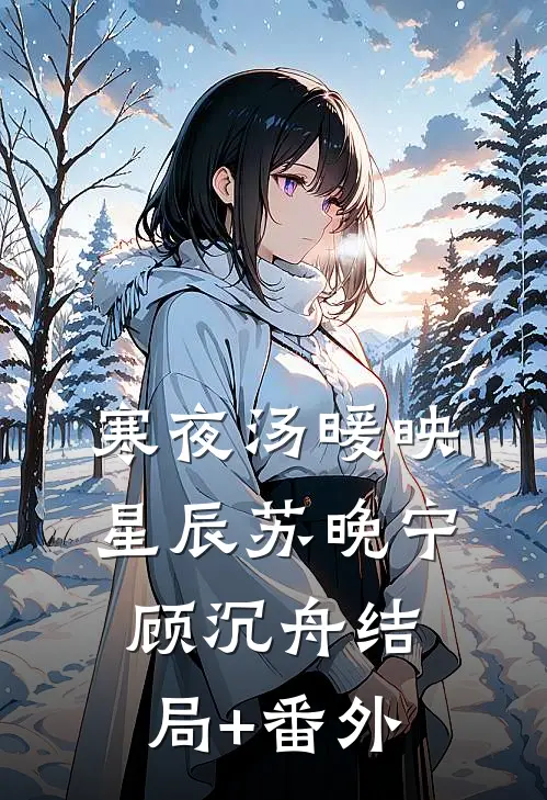 寒夜汤暖映星辰苏晚宁顾沉舟结局+番外