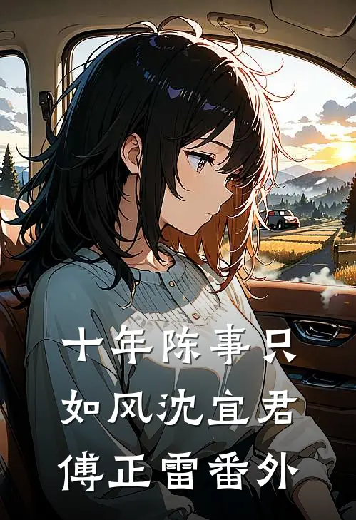 十年陈事只如风沈宜君傅正雷番外