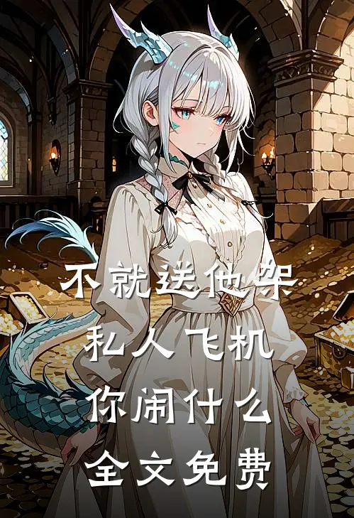 不就送他架私人飞机，你闹什么全文免费
