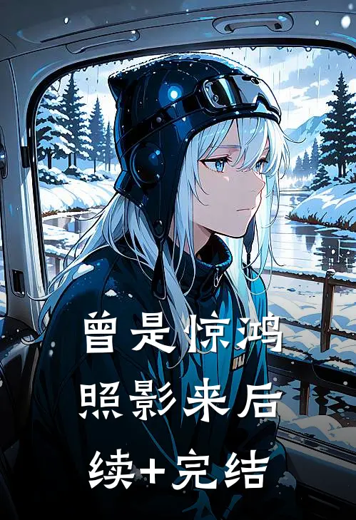 曾是惊鸿照影来后续+完结