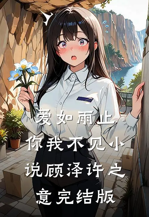 爱如雨止，你我不见小说顾泽许之意完结版