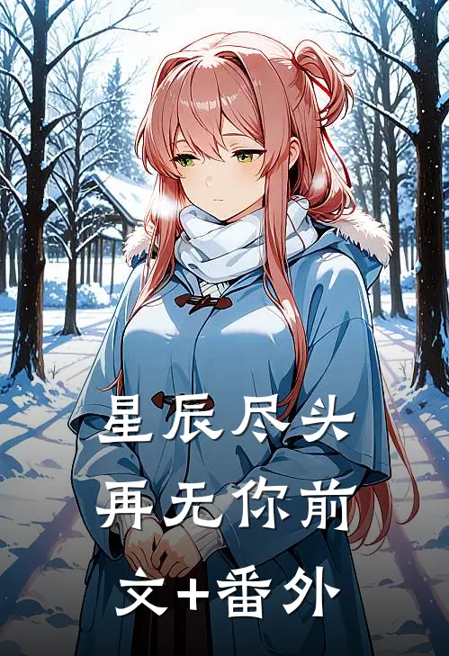 星辰尽头再无你前文+番外