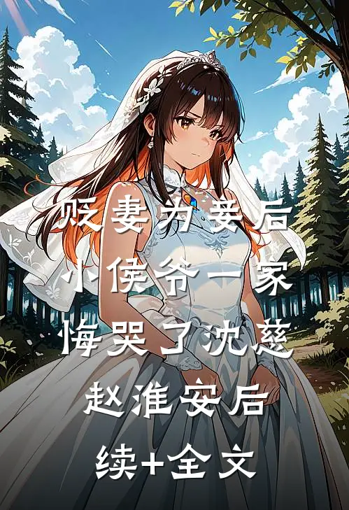 贬妻为妾后，小侯爷一家悔哭了沈慈赵淮安后续+全文