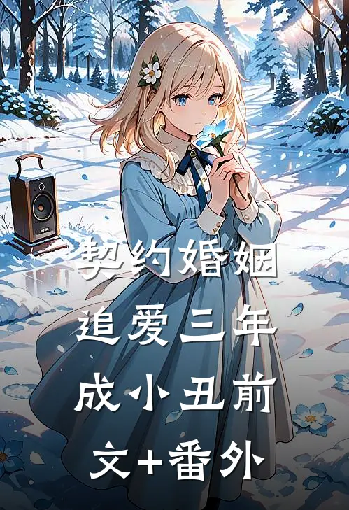 契约婚姻：追爱三年成小丑前文+番外