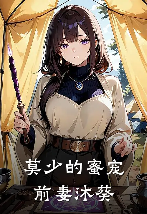 莫少的蜜宠前妻沐葵