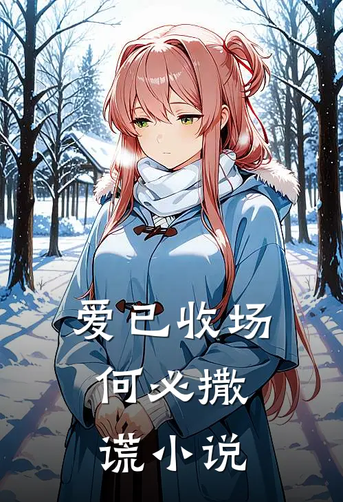 爱已收场，何必撒谎小说
