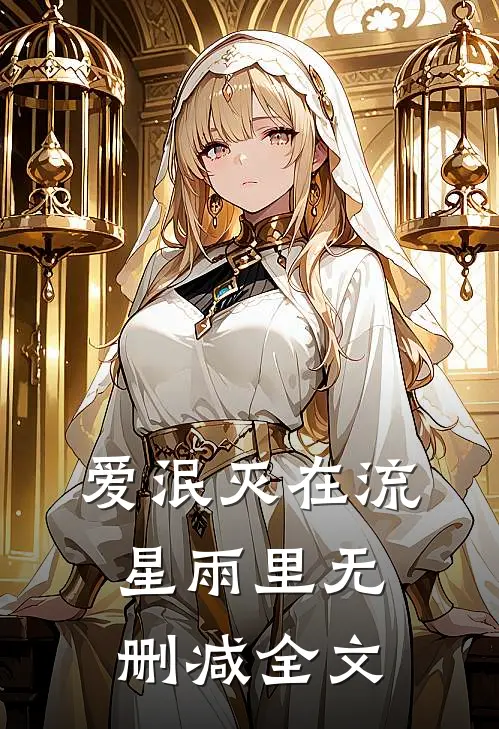 爱泯灭在流星雨里无删减全文