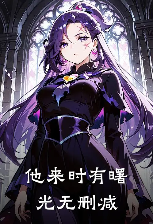 他来时有曙光无删减