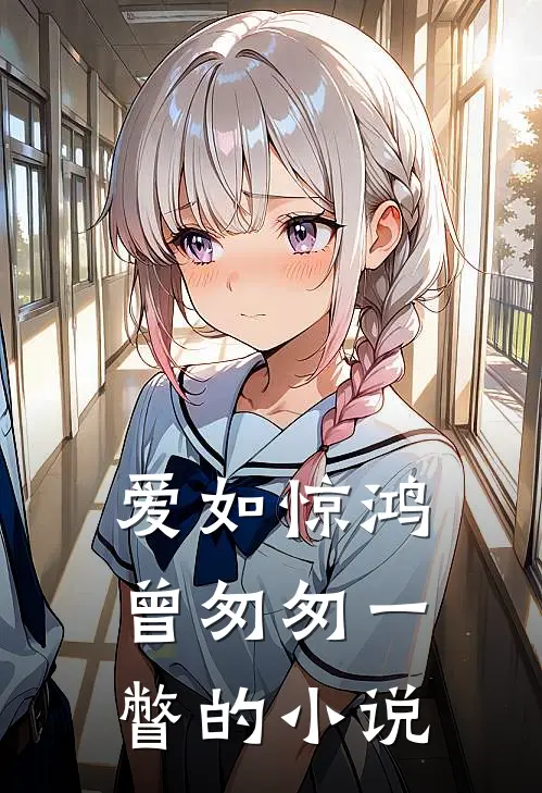 爱如惊鸿，曾匆匆一瞥的小说