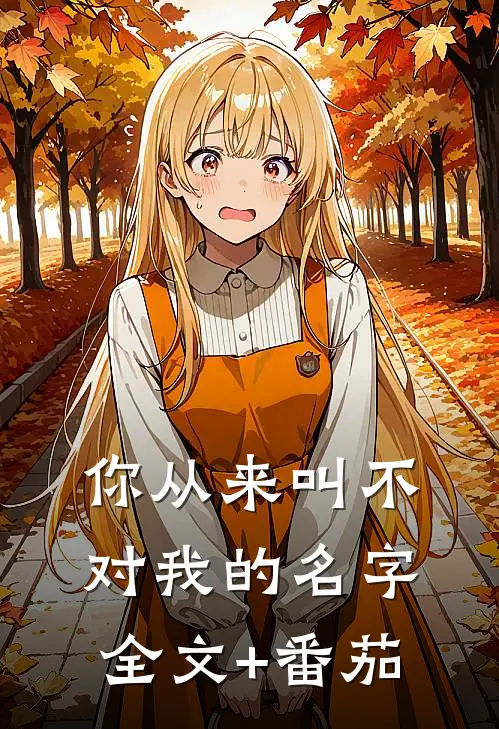 你从来叫不对我的名字全文+番茄